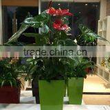Made in China Round Baking Finish Self-watering Planters thumbnail-5