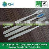 PLA 100% Biodegradable Toothbrush for Both Adults and Kids thumbnail-1