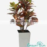 Decorative Christmas Gift thumbnail-1