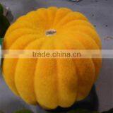 SJ400926 High Imitation Decorative Pumpkin/custom Made Pumpkin Moss Decoration Craft thumbnail-1