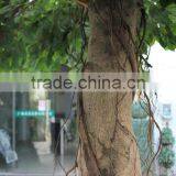 Large Indoor Artificial Ficus Tree,banyan Decoration Tree thumbnail-2
