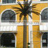 Artificial Palm Tree Fiberglass Outdoor Coconut Tree Sale Fake Tree thumbnail-5