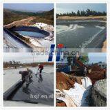 Specialty Solar Salt Crystal Pools Film Acid High-quality Geomembrane thumbnail-2