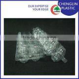 Clear Disposable Plastic Egg Tray (12) thumbnail-6