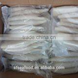 Squid Tube of Peru Giant Squid thumbnail-3