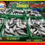 FROZEN W/R INDIAN MACKEREL thumbnail-3