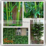 China Supplier New Product Bamboo Price Plastic Lucky Bamboo Plants for Sale thumbnail-6
