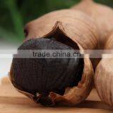 Henan Fresh Black Garlic is Healthy and Natural!!!Fermented Garlic thumbnail-6