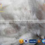 Dehaired Cashmere Cable Fiber With SGS thumbnail-1