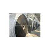 Cold Resisitant Conveyor Belt thumbnail-2