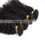 Virgin Hair Wholesale Suppliers 8-30" Mongolian Kinky Curly Hair thumbnail-1
