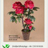 Wholesale Artificial Peony Flower Indoor Decoration