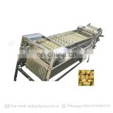 Fruit Size Carrot Sorting Peeled Garlic Cloves Vegetable Grading Machine