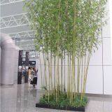 Artificial Bamboo Tree thumbnail-1