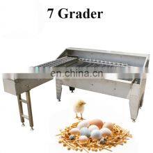 Full Stainless Steel 5 Grades Egg Grading Machine Egg Sorting Machine Egg Grading Packing Machine thumbnail-2