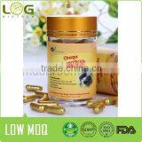 Cure Diabetes and Immune & Anti-fatigue Function Chaga Fungus Betulinus thumbnail-1