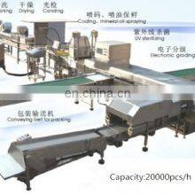 Full Automatic Egg Cleaning and Sorting Packing Line Production Line Processing Line thumbnail-5