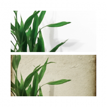 Water-Resistant Interior Wall Skim Coat for Damp Areas - Moisture-Proof, Durable, Bulk Supply thumbnail-5