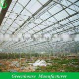 Greenhouse Sale for Vegetables