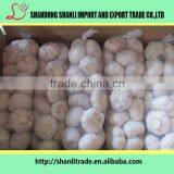 Pure White Wholesale Natural Garlic/garlic Powder/fresh Garlic Chinese thumbnail-3