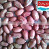 Shandong Peanut Kernels
