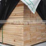 Coast Fraser Enterprises Ltd. company overview - view 3 thumbnail