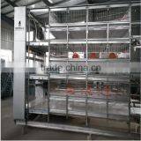 Broiler Farm for Broiler Feed Rearing thumbnail-2