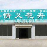 Kunming Qingyi Flower Gardening Co., Ltd. company overview - view 2 thumbnail