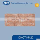 Ceramic Wall Tile (300*600) DNCT15420