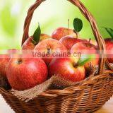 Hot Selling Simple Customized Durable Cheap Laundry Basket thumbnail-6