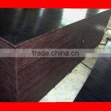 Film Faced Plywood Manufacturer thumbnail-1
