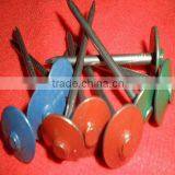 Kenya Market Umbrella Head Galvanzied and Twisted Shank Roofing Nails thumbnail-5