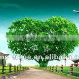 IMO Cargo Shipping to Europe thumbnail-1