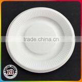 Disposable Biodegradable Bagasse 8 Inch Round Plate thumbnail-1