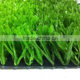 Grass Carpet thumbnail-1