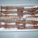 Zhoushan Ship Frozen Marsupenaeus Japonicus (shrimp Kind) thumbnail-2