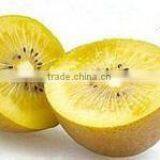Kiwi Fruit thumbnail-5