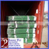 Green Painted Iron T Post