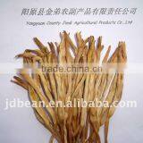 Common Orange Daylily/Hemerocallis thumbnail-1