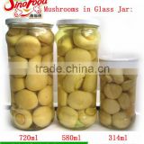 High quality Whole Mushroom In Jar 314ml/580ml/720ml