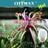 Gibberelic Acid Tablet thumbnail-1