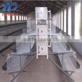 Brand New Automatic Chicken Layer Cage for Sale in Philippines With High Quality thumbnail-2