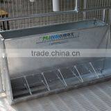 Pig Feeder for Fattening Pig