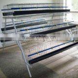 Laying Chicken Cage thumbnail-1