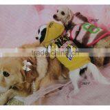 Dog Supply thumbnail-1