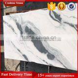 2017 New Surface China White Black Panda Marble Tile thumbnail-2
