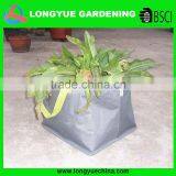 Garden Planter Bag thumbnail-1