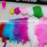 Wholesale Fashion Multicolor Decotation Ostrich Feather for Party and Wedding thumbnail-2