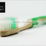 Plastic Normal Size Promotion Led Light up Toothbrush Made in China thumbnail-1