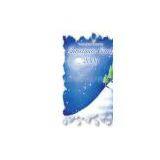 Christmas Card thumbnail-1